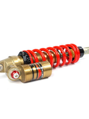 Road and Track Suspension