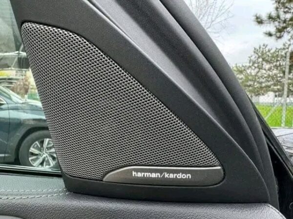 2025/03/1000023318.jpg BMW X6 xDrive30d M-SPORT