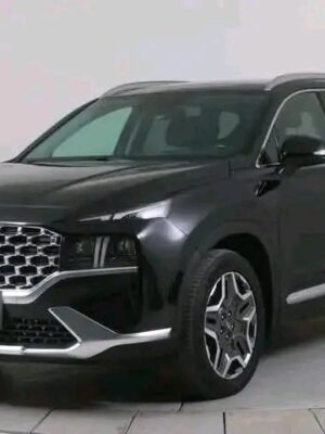 Hyundai Santa Fe PHEV 4WD
