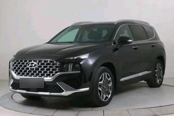 Hyundai Santa Fe PHEV 4WD